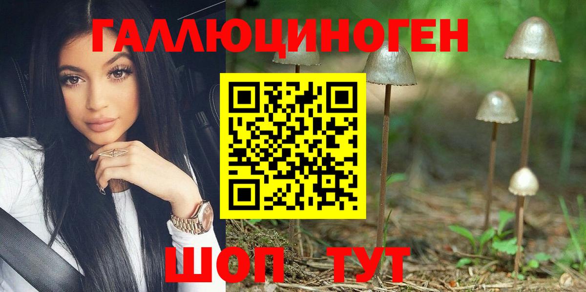 Псилоцибиновые грибы Psilocybine cubensis Домодедово